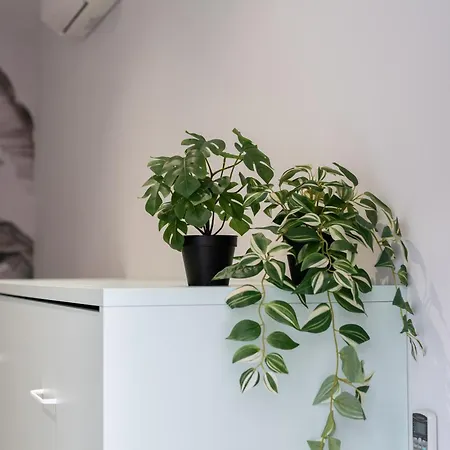 Marina Apartament